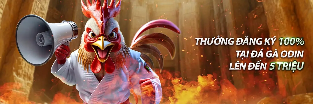 Đá gà trực tuyến 123win apk